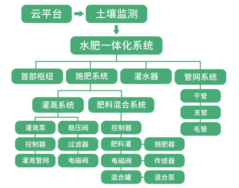 把握未来先机：温州小程序开发行业的最新动态