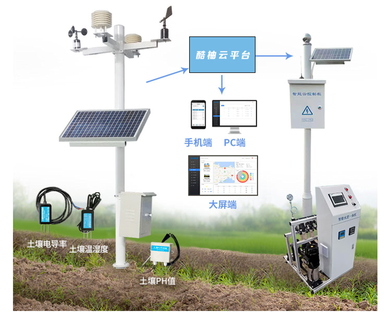 解析苍南网站建设的新趋势