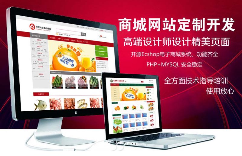 打造您的专属商城网站：选购指南