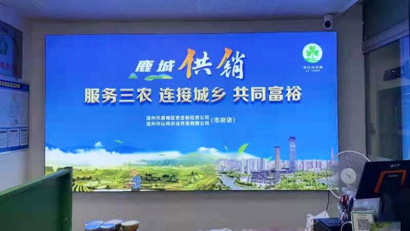 苍南网站建设：打造独特品牌新高度